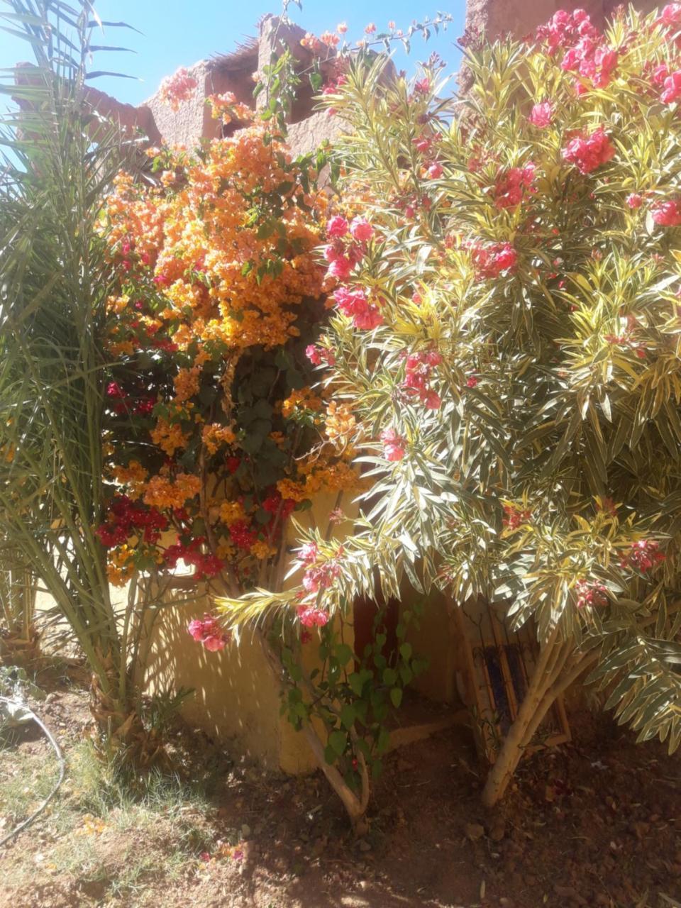 Готель Kasbah Timidarte Zaouita Bou Lhassane Екстер'єр фото