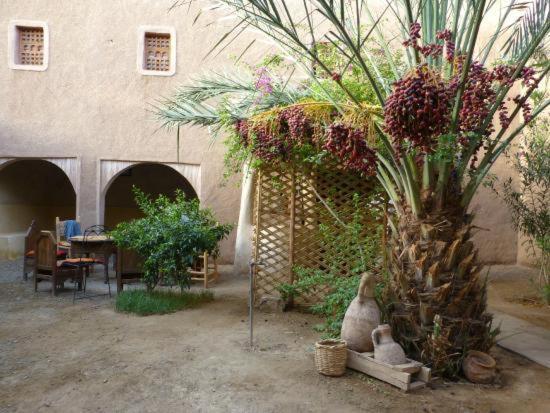 Готель Kasbah Timidarte Zaouita Bou Lhassane Екстер'єр фото